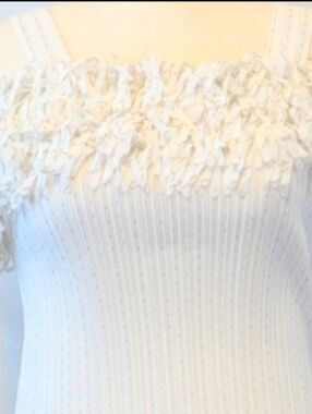 Kaeylyn Max II Off-Shoulder Fringe Detail Sheer Top (All White/No Dots)